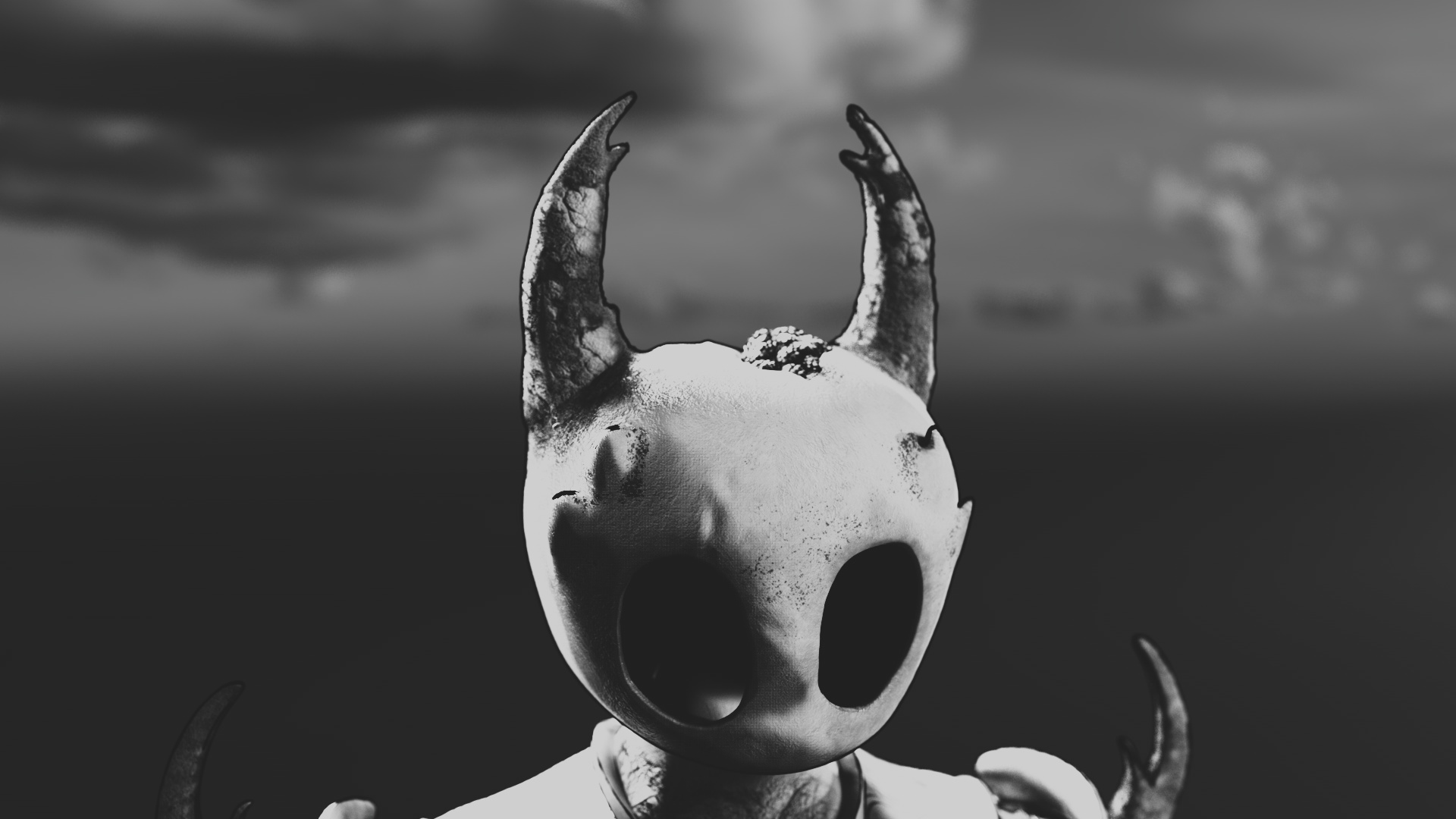 Hollowknight_HeadHollowknight_Head